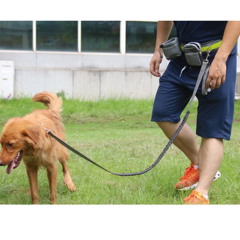 PacePup Hands - Free Dog Running Belt Set! - Zhoras333 US