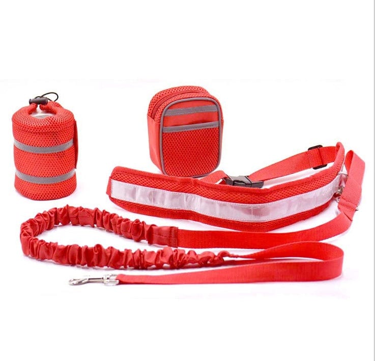 PacePup Hands - Free Dog Running Belt Set! - Zhoras333 US