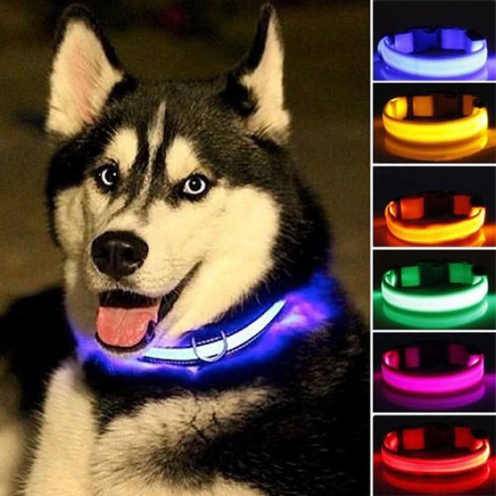 GlowPup LED Safety Dog Collar 2 - Pack Set - Zhoras333 US