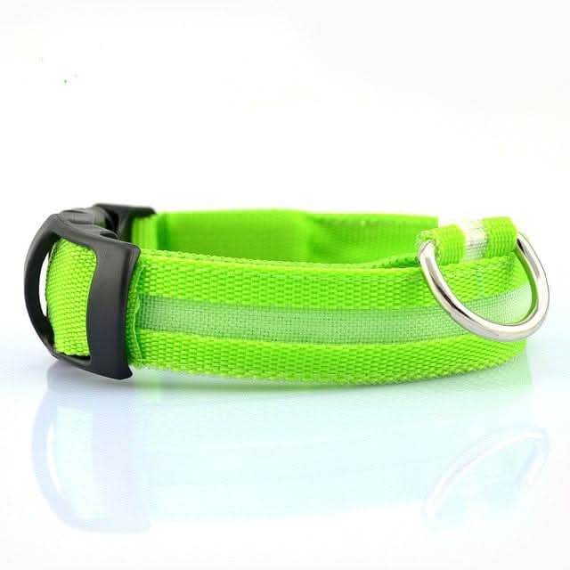 GlowPup LED Safety Dog Collar 2 - Pack Set - Zhoras333 US