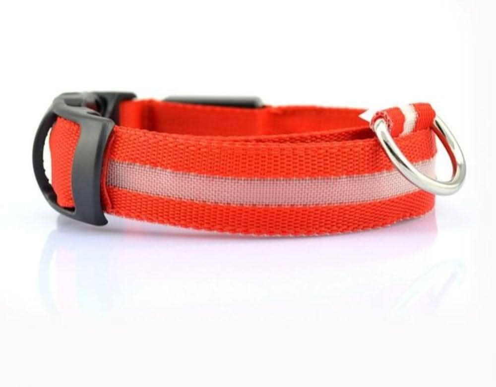 GlowPup LED Safety Dog Collar 2 - Pack Set - Zhoras333 US