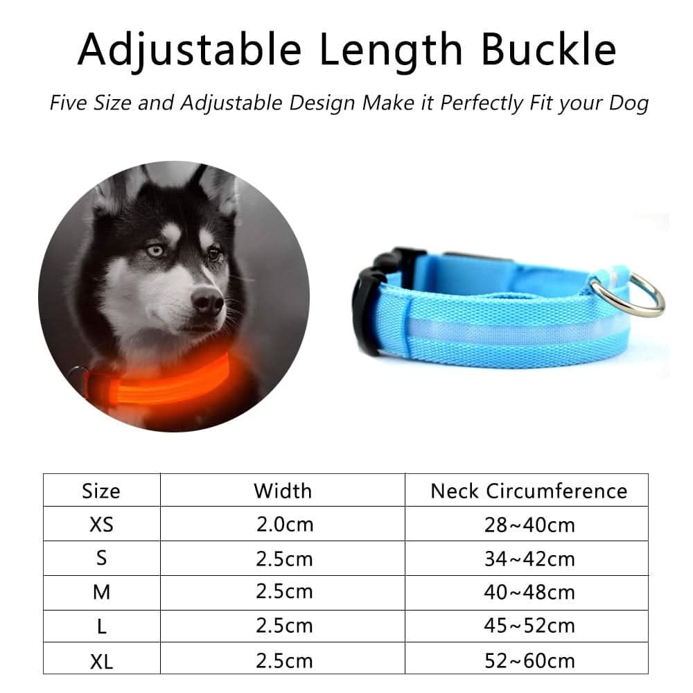 GlowPup LED Safety Dog Collar 2 - Pack Set - Zhoras333 US